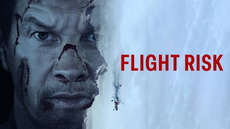 Flight Risk 2025: Movie Analysis