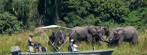 Discover Africa's forgotten national parks, hidden ecotourism gems that offer sustainable travel experiences. Explore untouched landscapes