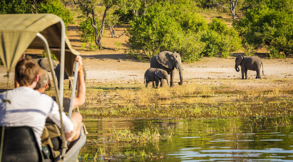 Discover Africa's forgotten national parks, hidden ecotourism gems that offer sustainable travel experiences. Explore untouched landscapes